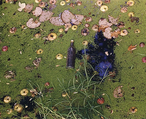 Eva Bertram - Inseln