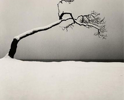 Hokkaïdo - Michael Kenna Hokkaïdo - Michael Kenna