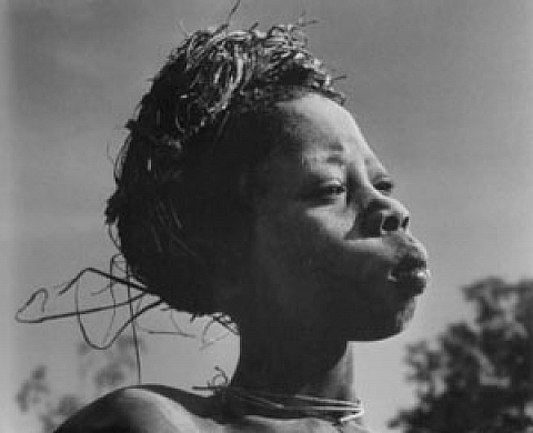 Don Mc Cullin - Compagnons de route