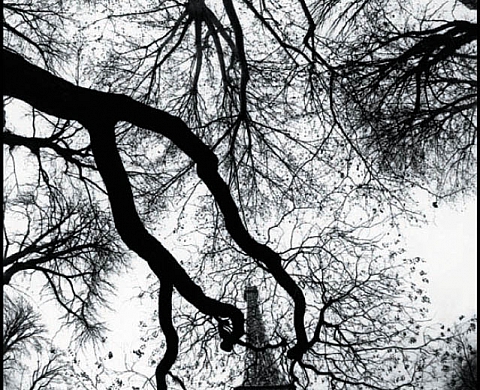 Bruce Davidson La Nature de Paris Bruce Davidson La Nature de Paris