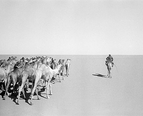 Claude Iverné - Darb al arba'ïn (La Piste des Quarante jours) Claude Iverné - Darb al arba'ïn (La Piste des Quarante jours)