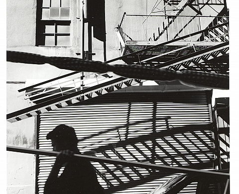 Yvon Lambert, New York Chronicles