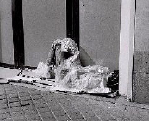 Vivre par terre Vivre par terre