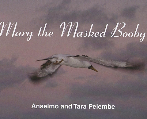 Mary the Masked Booby Mary the Masked Booby