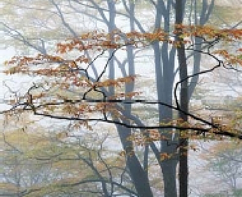 Trois photographes chinois contemporains