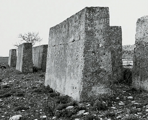 La Crau Photographies exposition La Crau Photographies exposition