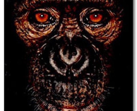 James and Other Apes, by James Mollison James and Other Apes, by James Mollison