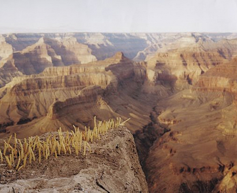  TERRAINS D'ENTENTE : PAYSAGES CONTEMPORAINS