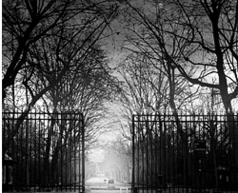 Jean-Michel Berts - Portraits de Paris Jean-Michel Berts - Portraits de Paris
