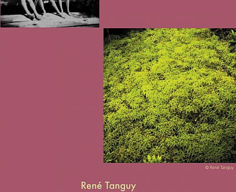 René Tanguy - Le chemin de cécité René Tanguy - Le chemin de cécité