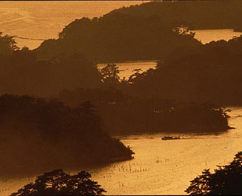 Michael Yamashita Zone démilitarisée entre les deux Corées