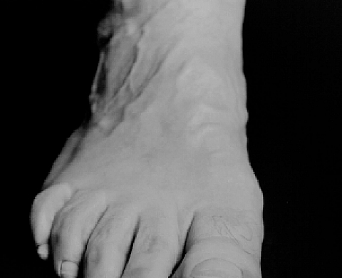 Amélie Debray Bon pied, bon oeil Amélie Debray Bon pied, bon oeil