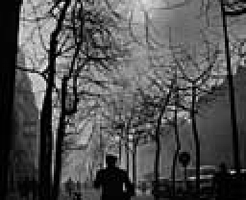 La photographie humaniste 1945-1968 La photographie humaniste 1945-1968