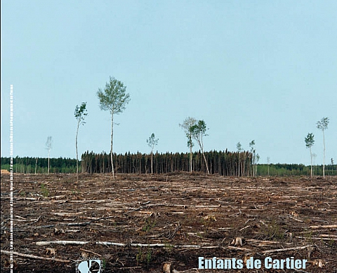 Enfants de Cartier - photographie canadienne contemporaine