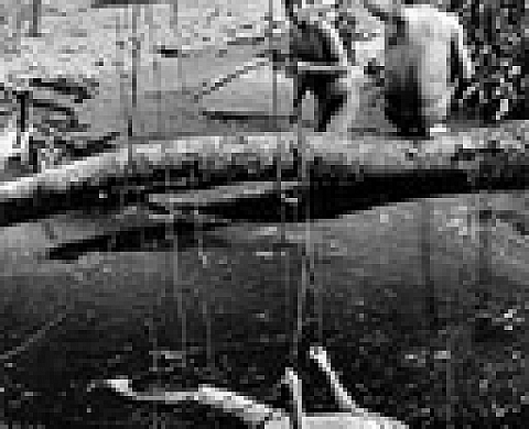 Sebastião Salgado à la BNF Sebastião Salgado à la BNF
