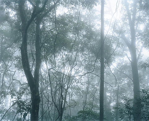 Hans-Christian Schink - Vietnam