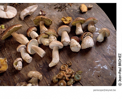 Jean-Paul Brohez à Liège