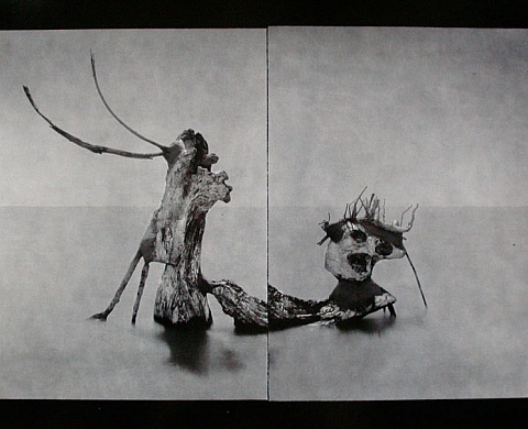 Laurent Millet - Les tempestaires Laurent Millet - Les tempestaires