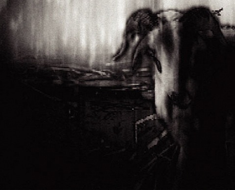 La lumière immobile