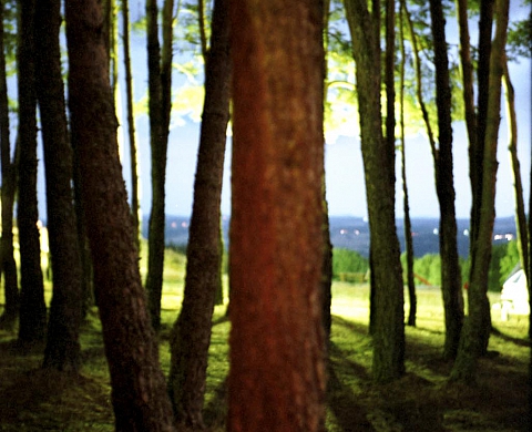 Dominique Deflou Duende / L'Ogre