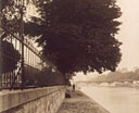 Atget, une rétrospective Atget, une rétrospective