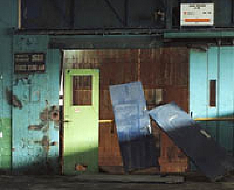 Adeline Bommart - Ile Seguin, le passage Adeline Bommart - Ile Seguin, le passage