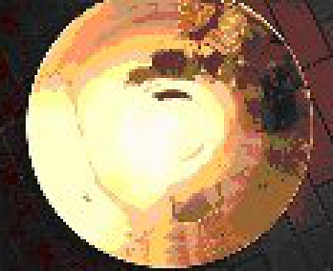 Dieter Appelt exposition Ramifications