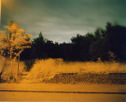 Exposición individual de Richard Billingham