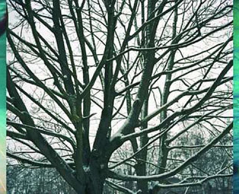 Chambre à part (Stasbourg) présente EMMANUEL GEORGES dans le cadre du festival Simultania