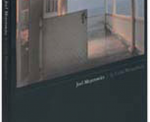 Joel Meyerowitz Joel Meyerowitz
