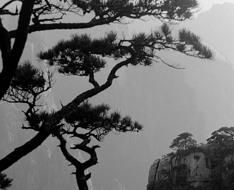 François Cheng - Espaces de Silence François Cheng - Espaces de Silence