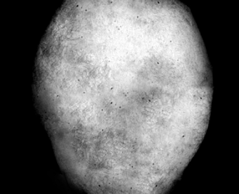 Delphine Ghosarossian : Métamorphoses photographiques, le corps réinventé