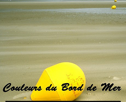 Vincent Rose Couleurs du bord de mer Vincent Rose Couleurs du bord de mer