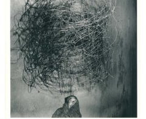 Roger Ballen: Shadow Chamber Roger Ballen: Shadow Chamber