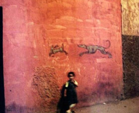 Mystères et réalité de l'Afrique