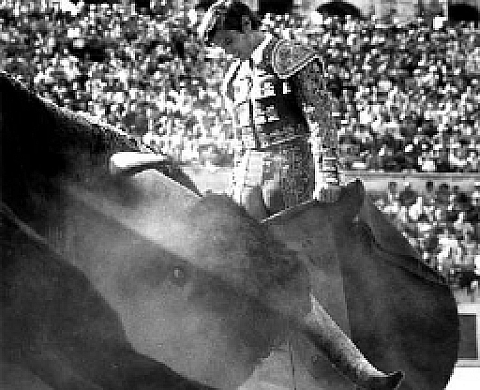 Lucien Clergue : Cinquante ans de poésie photographique