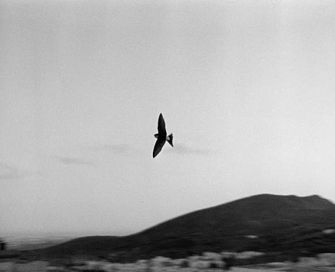 Bernard Plossu / Pentti Sammallahti / Camille Solyagua Léger comme une plume