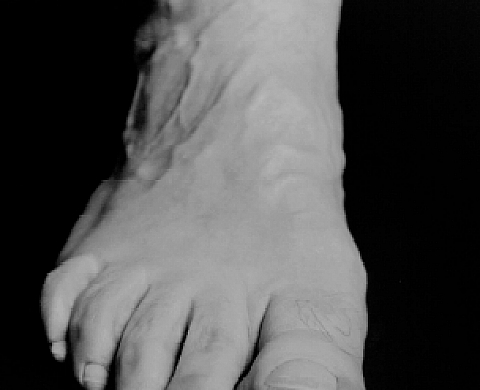 Amélie Debray - Bon pied Bon Oeil
