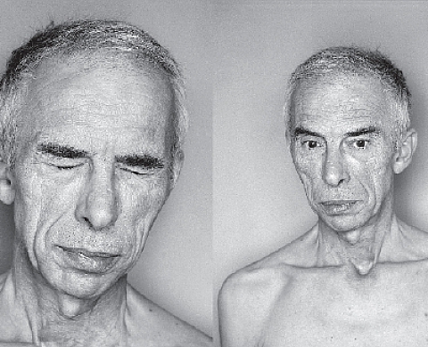 Olivier Roller Face[s]