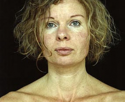 Annet Van Der Voort Métamorphoses