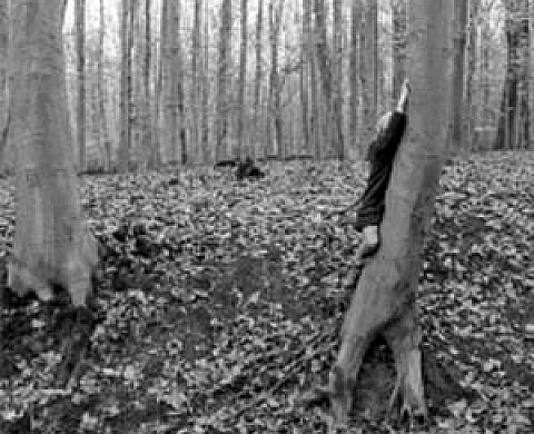 Alain Janssens, Armyde Peignier et Anne Penders - Trois bouteilles à la mer