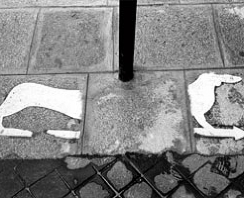 Claude Courtecuisse "Un léger déplacement dans l'ordre des choses"