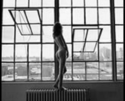 Harold Glit Exposition photographie