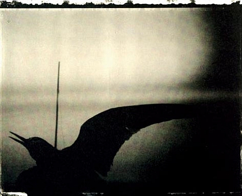 Sarah Moon Rétrospective