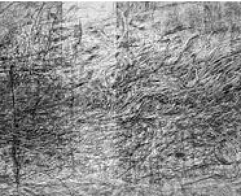 Bertrand Flachot - Interface Bertrand Flachot - Interface