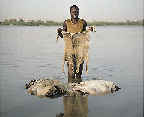 Nicola Lo Calzo - Inside Niger : new portraits from Sahel