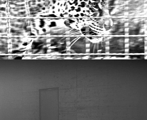 Les balises du silence ou quelques signes prémisses au tremblement du capital