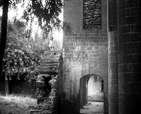 Kathryn Cook - The memory of trees
