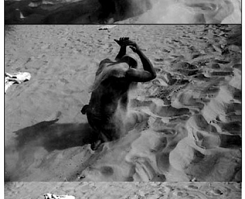 GAETAN VIARIS DE LESEGNO - Actes du désert : Projet Paris-Tombouctou