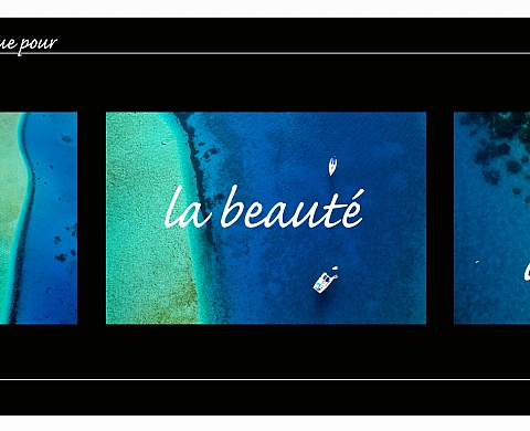 Aurélie Cottier - Dénoncer la beauté du monde, 1ère partie